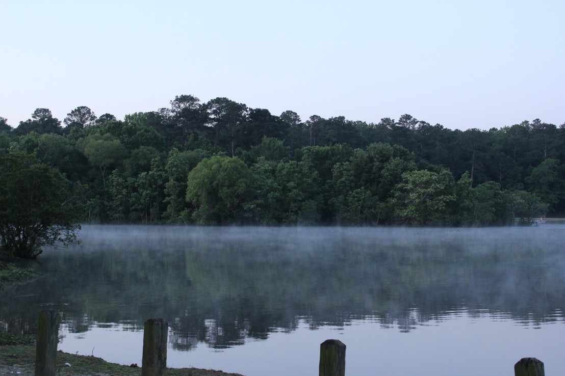 The Morning Fog Reflection